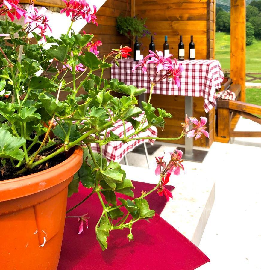 זבליאק Apartmani I Restoran Sljeme מראה חיצוני תמונה
